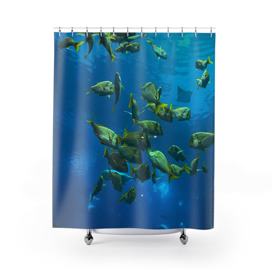 Shower Curtains