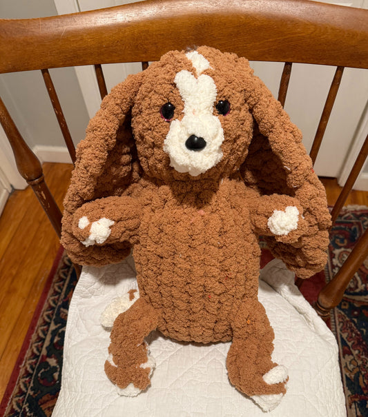 Buddy the Bassett Hound
